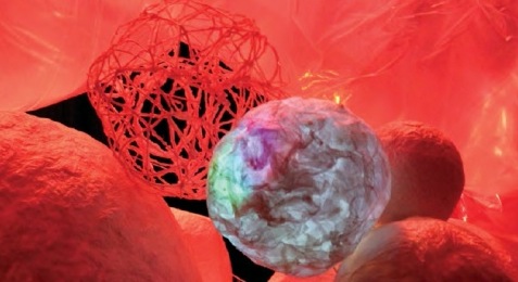 Couvée 2015 O'Hara